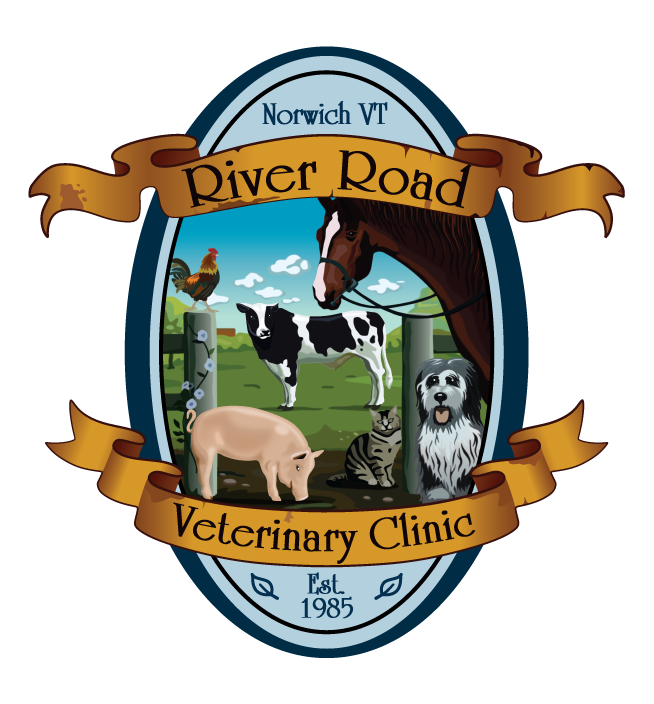 River Road Veterinary Clinic logo